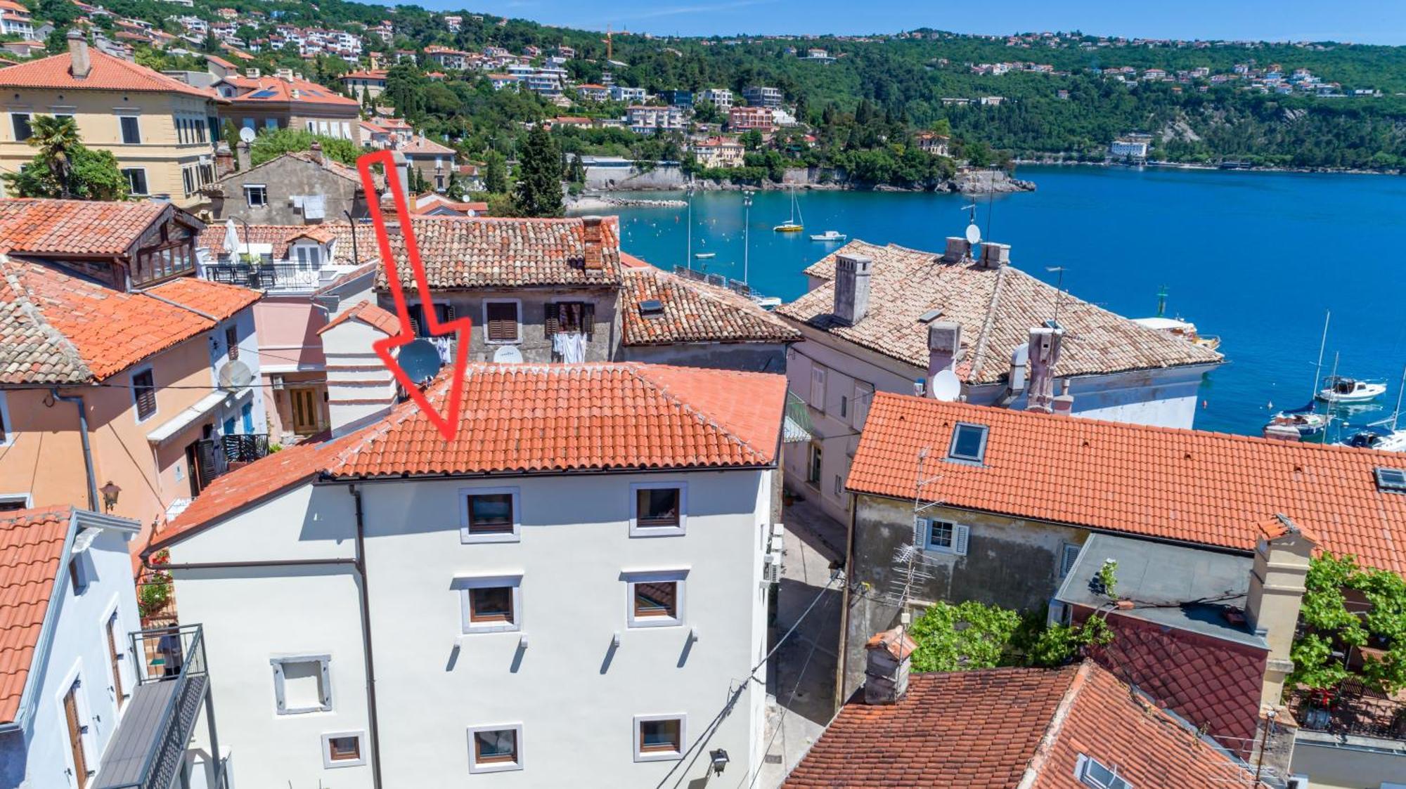 Villa Ula Premium Apartments ,Free Private Parking Opatija Exteriör bild
