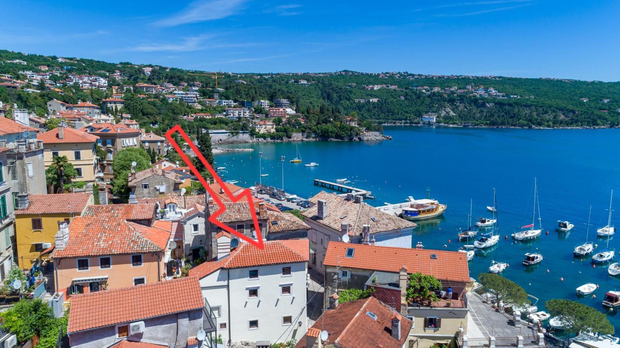 Villa Ula Premium Apartments ,Free Private Parking Opatija Exteriör bild